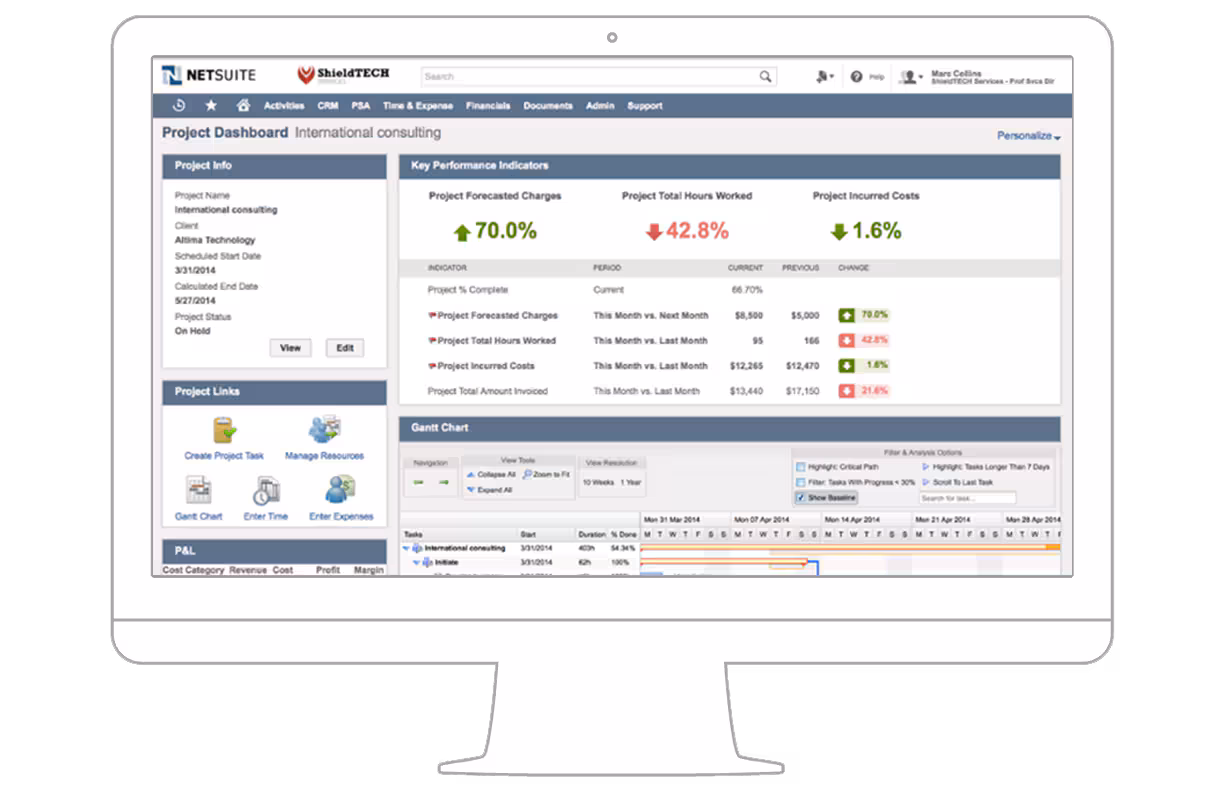 netsuite UI